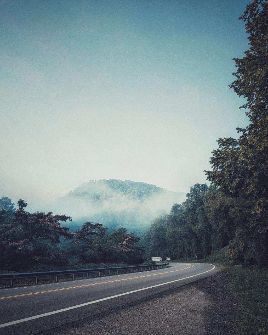 The road, a serpent of asphalt, slithered through the fog-choked valley, each curve a question without an answer